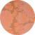 Peonie pfirsich